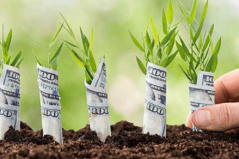 فنگ شویی ثروت چیست و نکات مهم مرتبط با آن کدامند؟