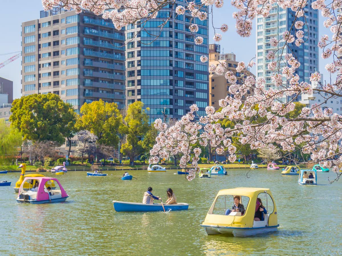 شهرهای آینده