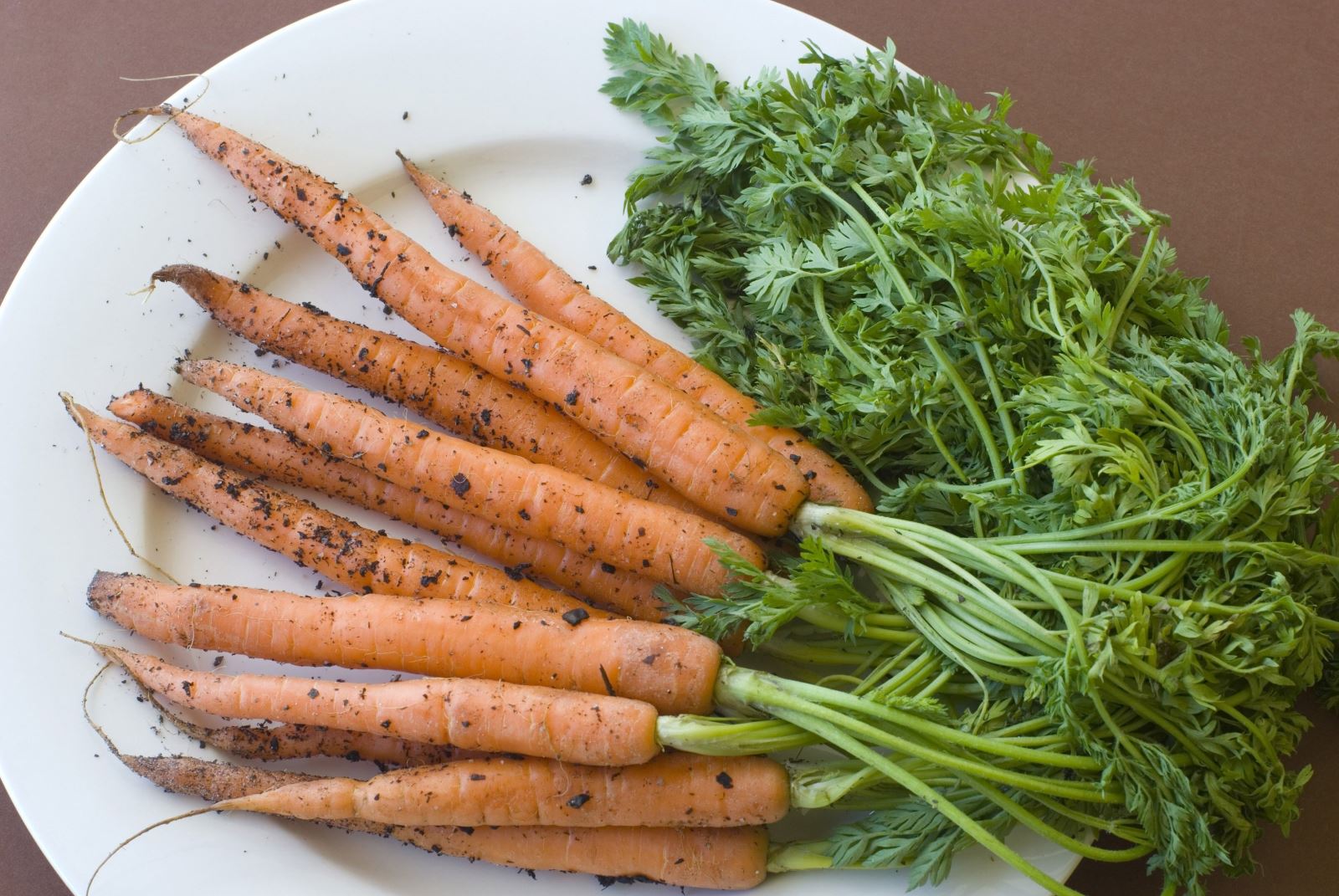 فهرستی از سبزیجات ریشه‌ای