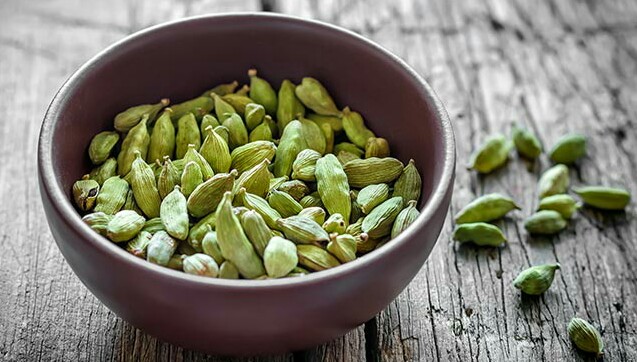 ادویه های مجاز و غیرمجاز در بارداری