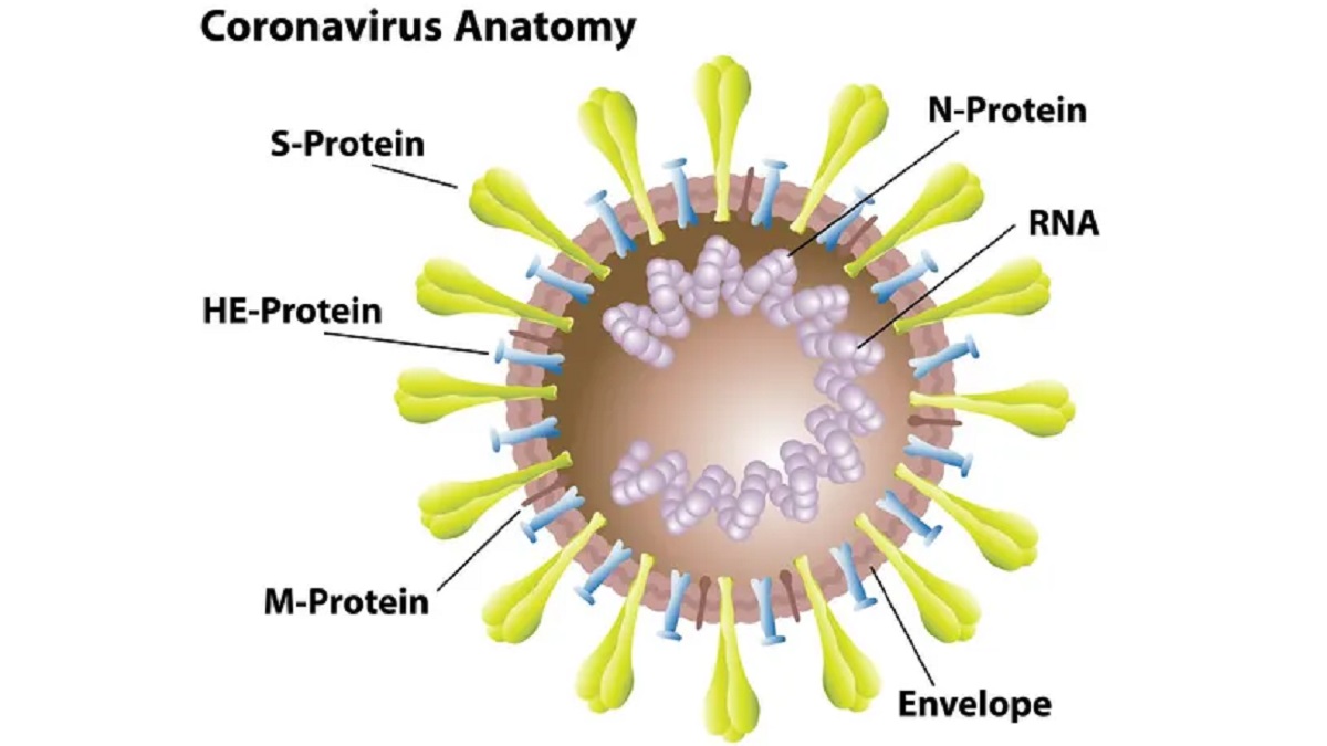 فناوری رو به توسعه mRNA