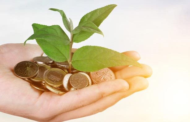 طراحی نهاد وقف پول، راهکاری برای توسعه سرمایه گذاری در کشور