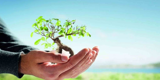 نگاهی جامع به کاربردها و اثرات وقف بر ابعاد مختلف زندگی انسان