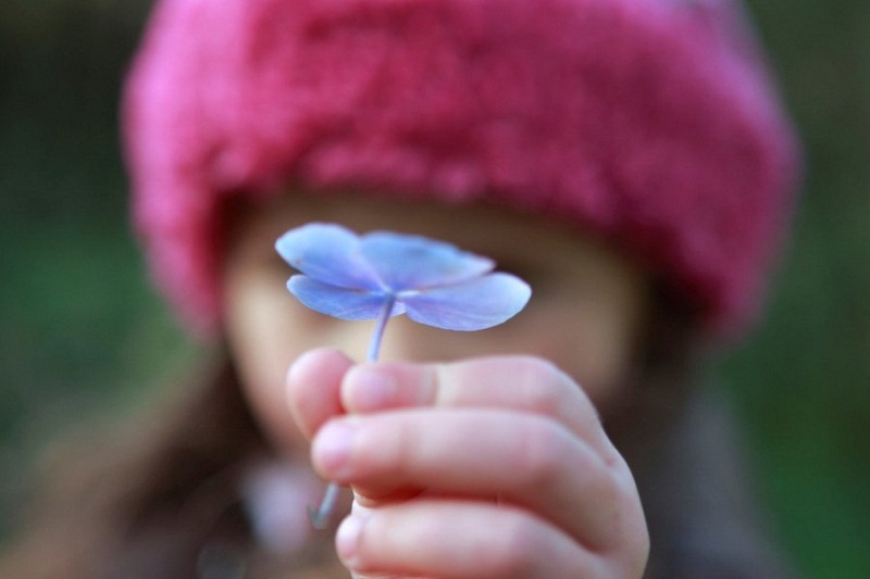 نگاهی جامع به جایگاه وقف در اسلام و سایر ادیان و مکاتب