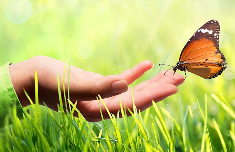 نگاهی جامع به جایگاه وقف در اسلام و سایر ادیان و مکاتب