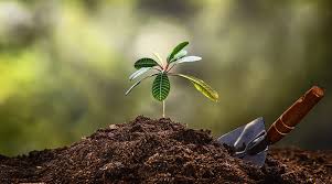 نگاهی جامع به کاربردها و اثرات وقف بر ابعاد مختلف زندگی انسان