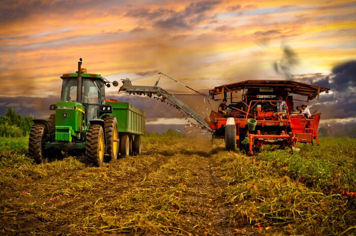 بررسی تأثیرات متقابل آسیب های اجتماعی و جهش تولید