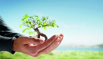 در صورت زوال وقف، اموال موقوفه چه سرنوشتی پیدا می کنند؟