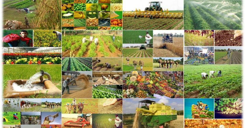 هند چگونه با منابع مشابه ایران، پنجمین کشور تولیدی جهان شد؟