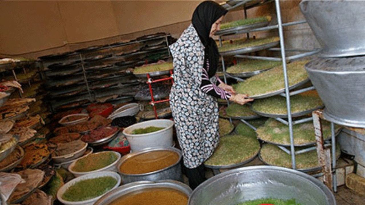 بررسی رابطه دو طرفه جهش تولید و کسب و کارهای خانگی