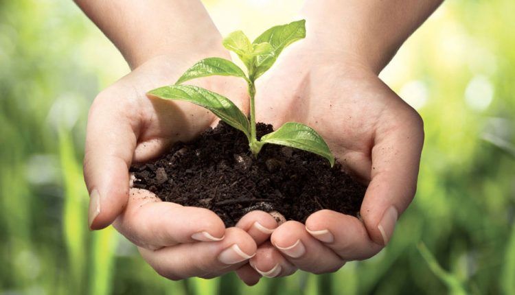 در صورت زوال وقف، اموال موقوفه چه سرنوشتی پیدا می کنند؟