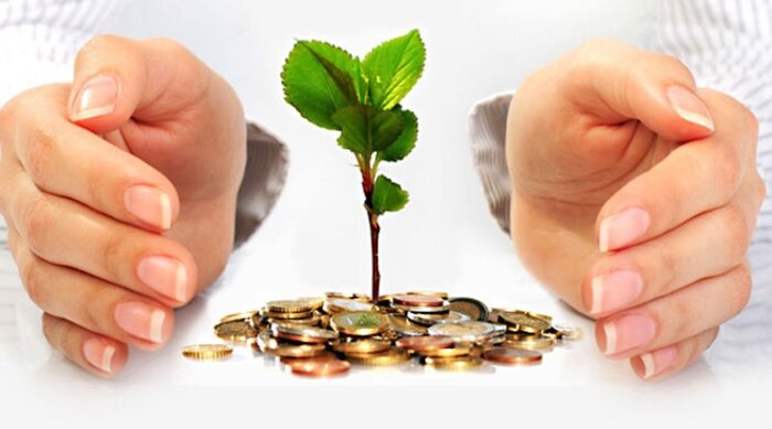 نگاهی جامع به کاربردها و اثرات وقف بر ابعاد مختلف زندگی انسان