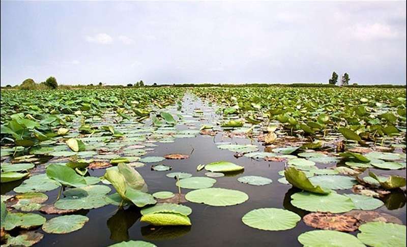 آشنایی با مناطق دیدنی کرمانشاه