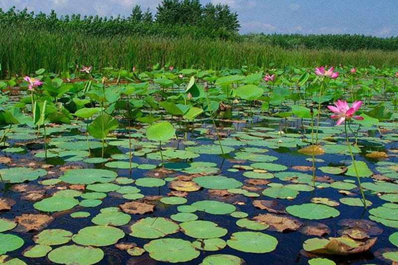 معرفی جاذبه های گردشگری بندر انزلی