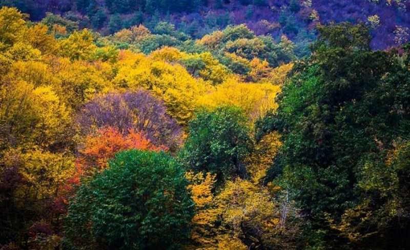 سفری به شهر گرگان شهر اسب های ایرانی