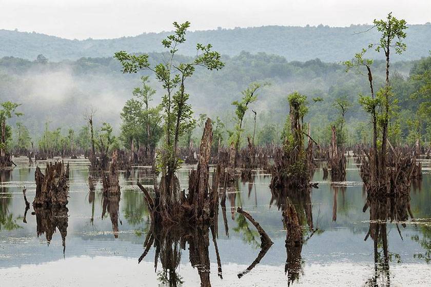 سفری به شهر زیبای نوشهر