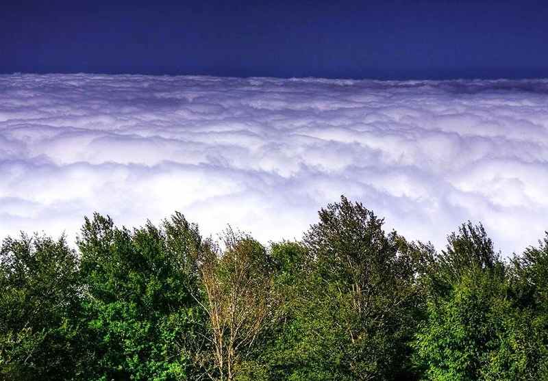 معرفی جنگل ابر شاهرود