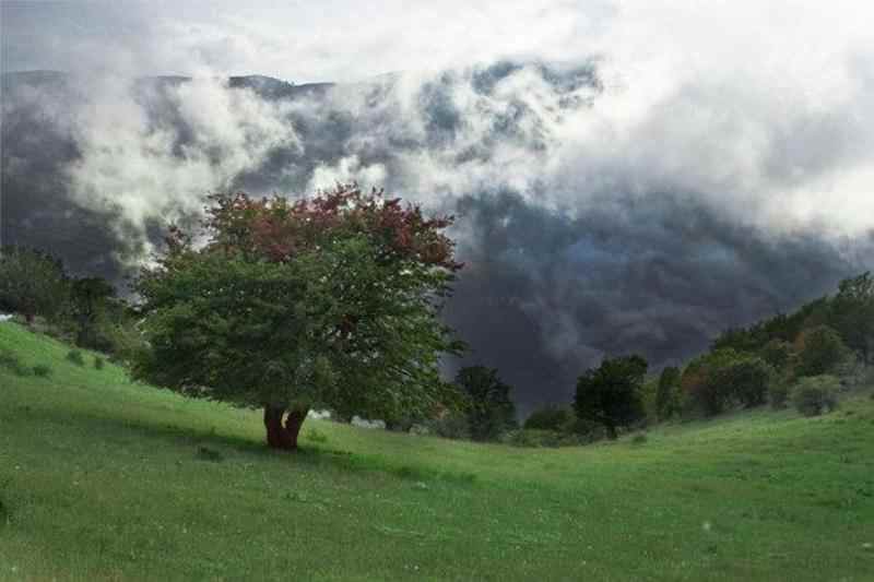 معرفی جنگل ابر شاهرود