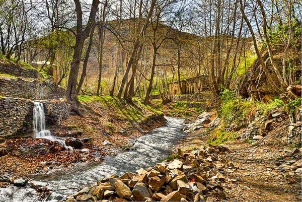 جنگل جیغ مشهد