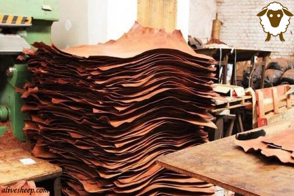 چرم و مصنوعات چرمی (1)