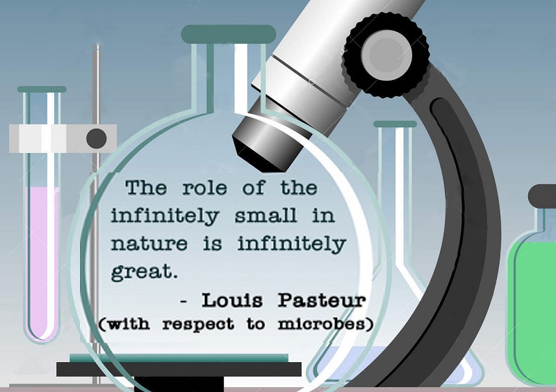 تئوری میکروبی لوئی پاستور