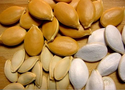 از خوردن تخمه کدو غافل نشوید + تصاویر