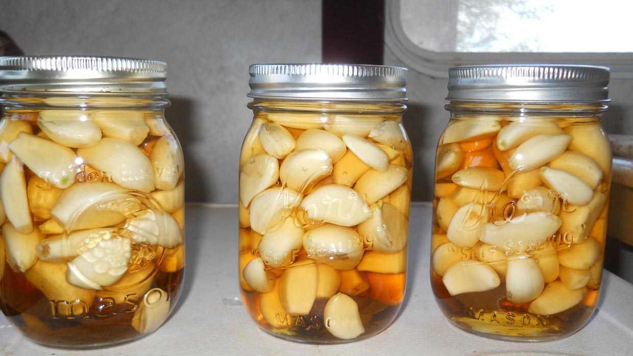 آموزش نگهداری سیر به مدت طولانی