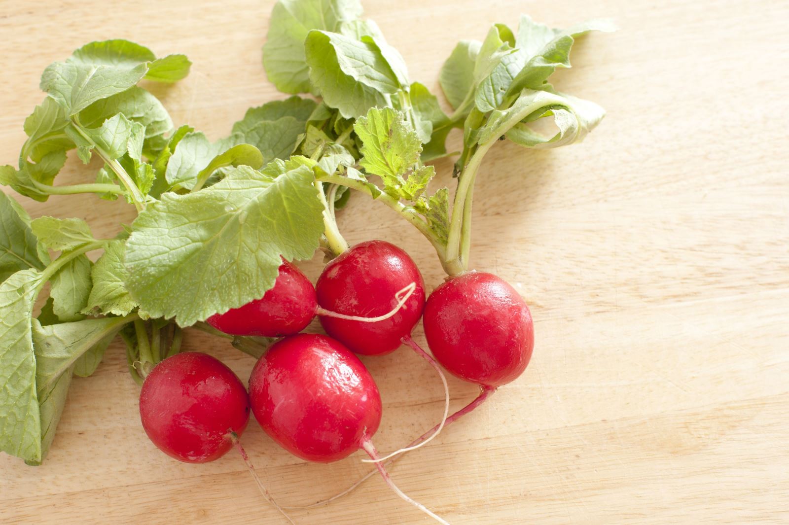 فهرستی از سبزیجات ریشه‌ای