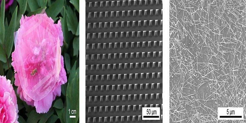 تأمین انرژی مورد نیاز نوعی پوست هوشمند بوسیله لمس اشیاء پوست هوشمند