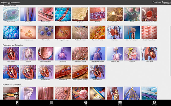 نمایش سه بعدی آناتومی بدن انسان