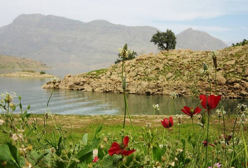معرفی دشت سوسن در ایذه