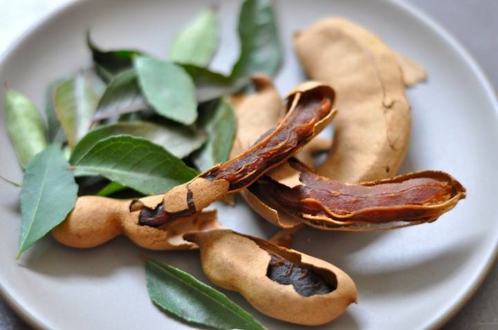 مواد غذایی ممنوعه در دوران بارداری