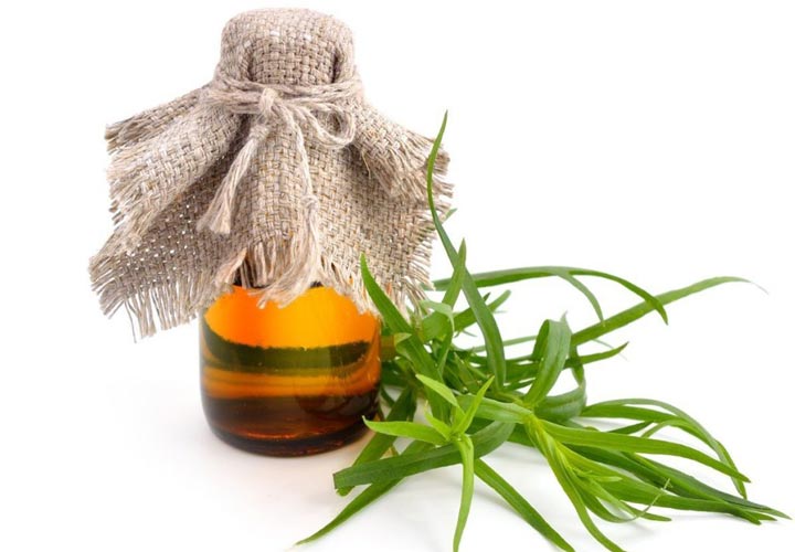 خواص ترخون برای سلامتی خواص ترخون برای سلامتی