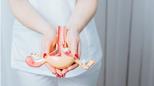 اندازه طبیعی رحم و چیزهای دیگری که باید بدانید