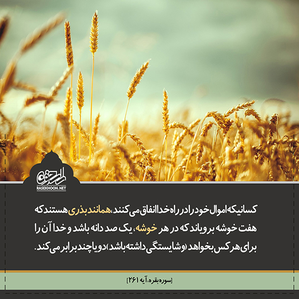 وقف؛ سرمایه‌گذاری ابدی برای دین، فرهنگ و آینده جامعه