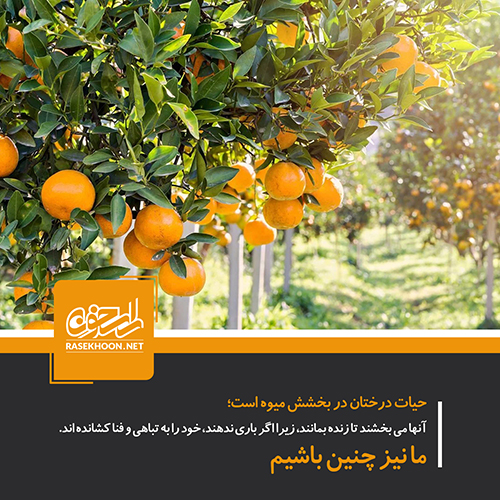 اولویتهای وقف با توجه به نیازهای روز جامعه اولویتهای وقف با توجه به نیازهای روز جامعه