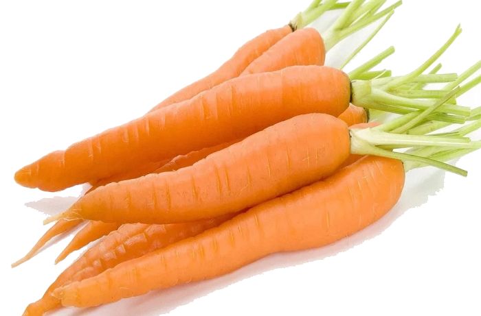 خوراکیهای پرفیبر را بشناسید