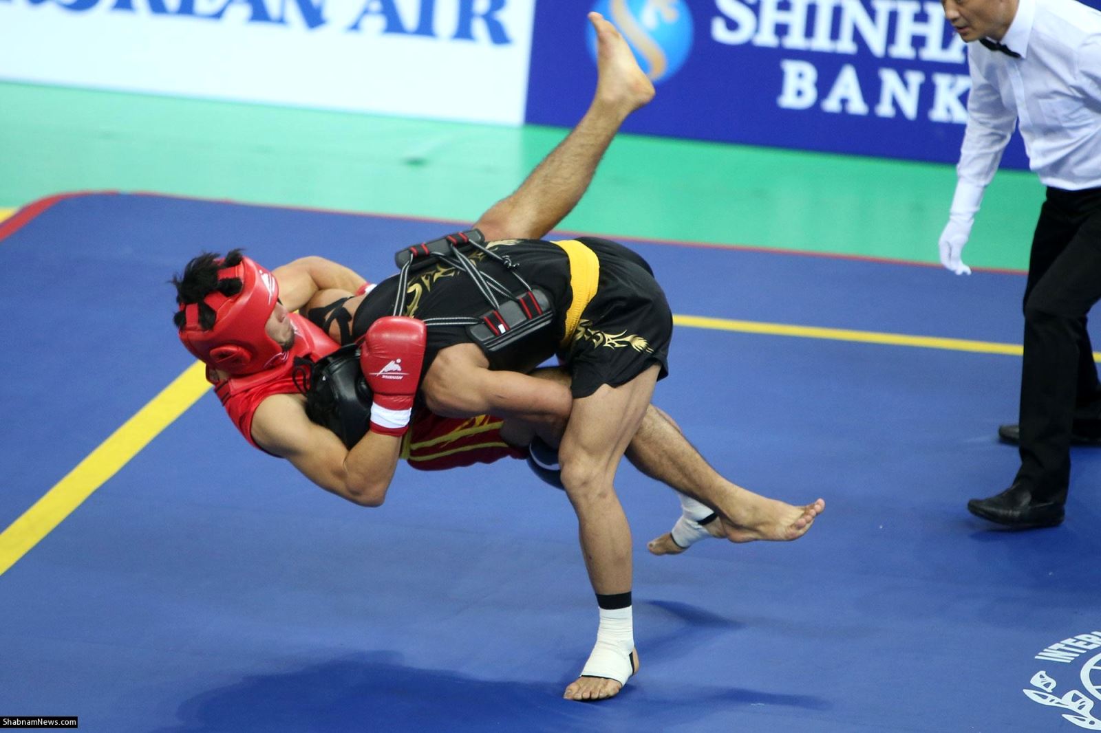 معرفی ورزش ووشو در ایران معرفی ورزش ووشو در ایران