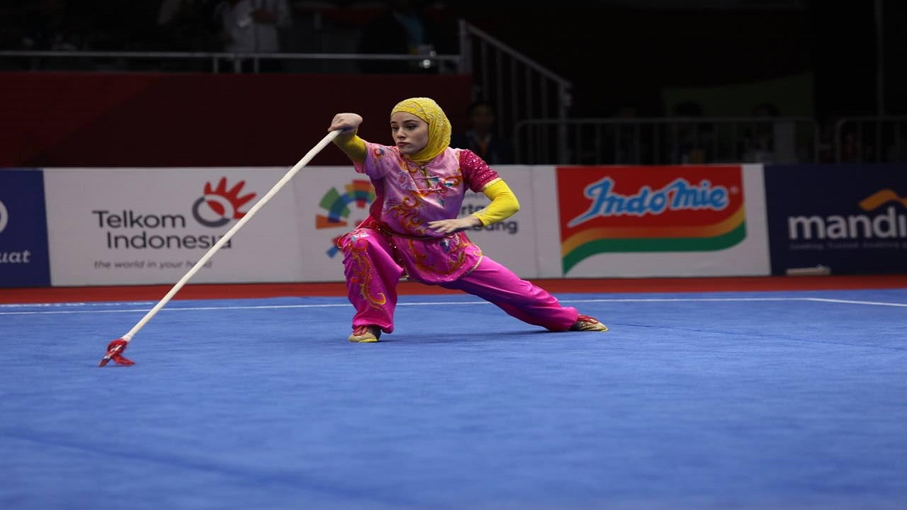 معرفی ورزش ووشو در ایران معرفی ورزش ووشو در ایران