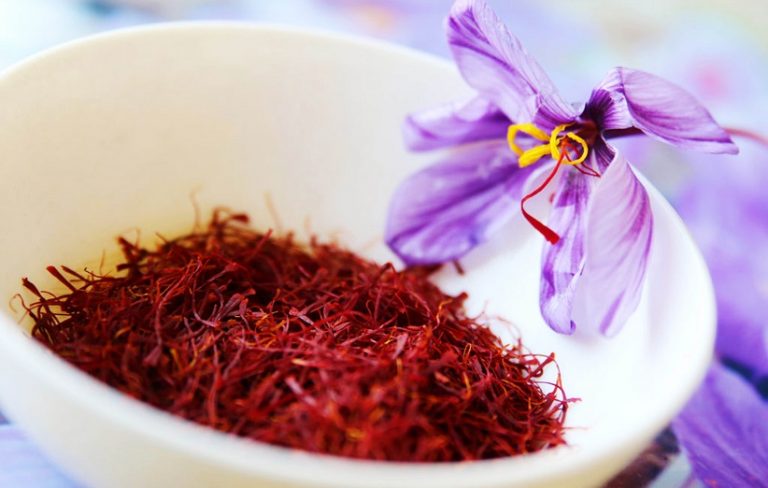 ادویه های مجاز و غیرمجاز در بارداری