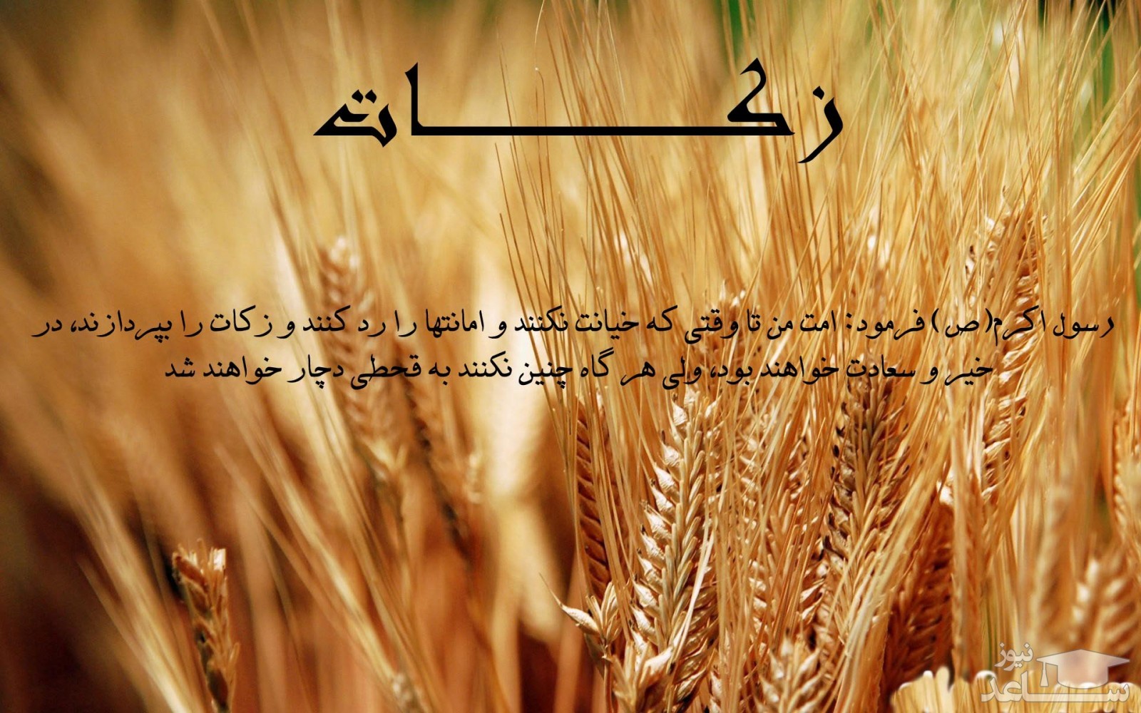 واژه‌ی زکات در قرآن