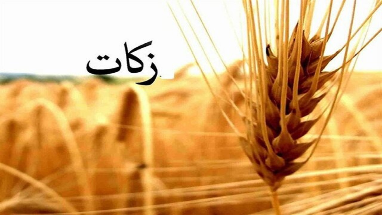 واژه‌ی زکات در قرآن