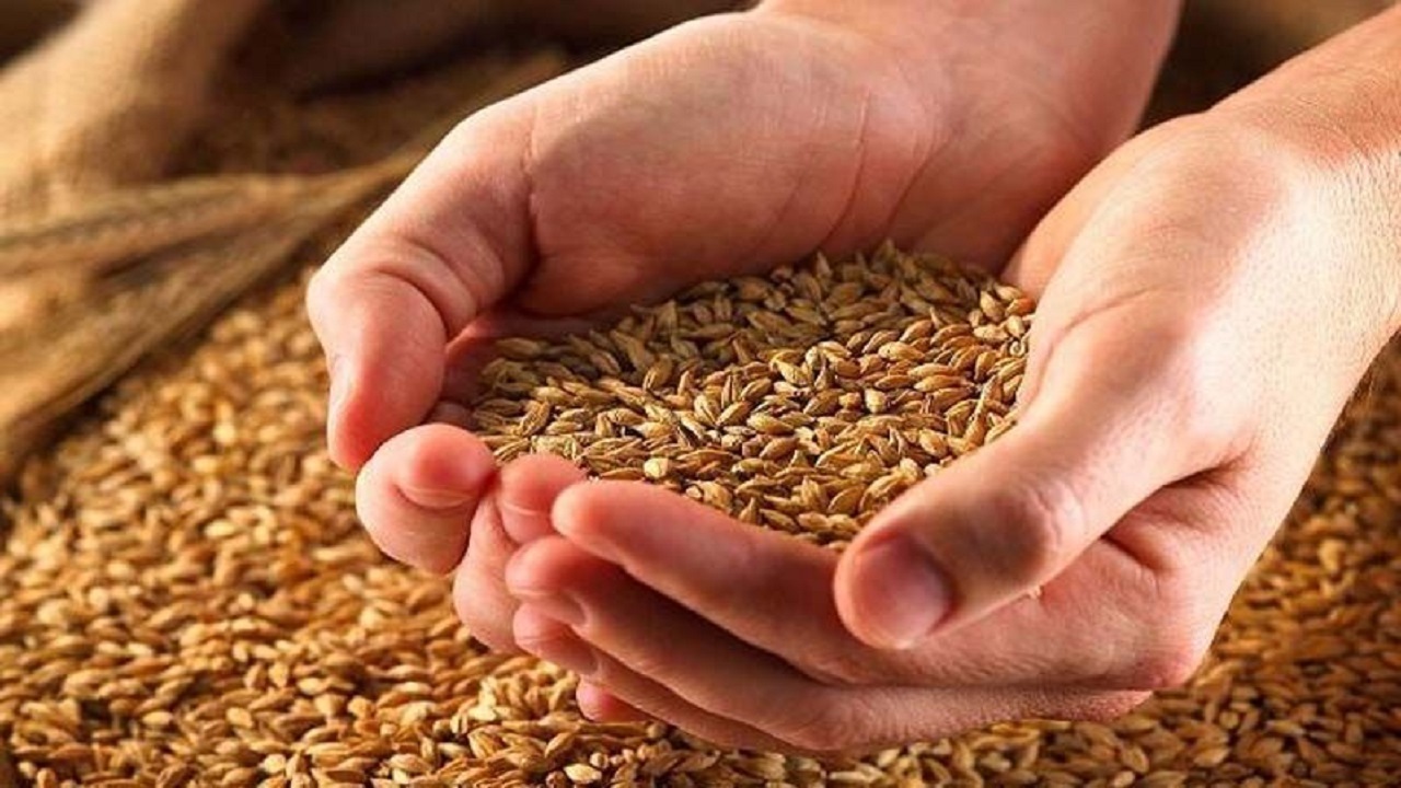 واژه‌ی زکات در قرآن