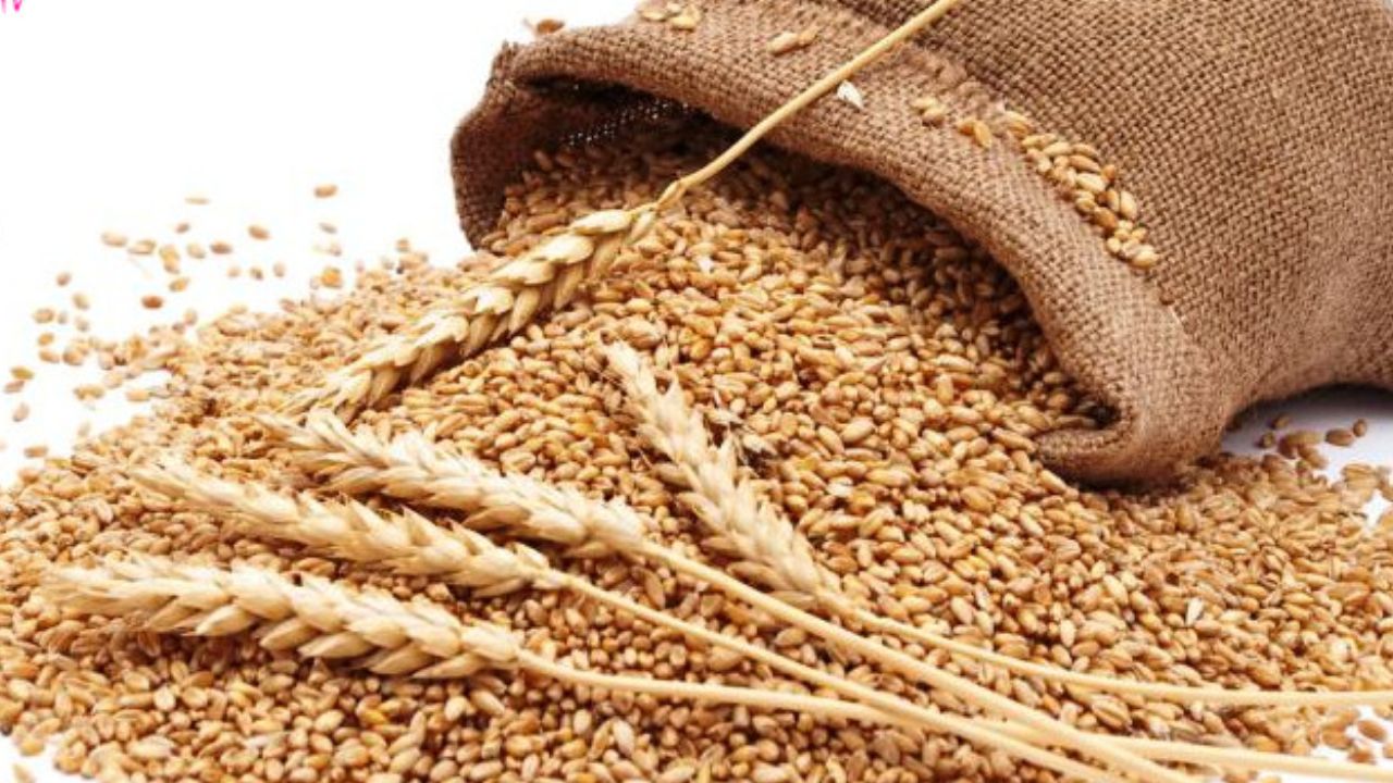 واژه‌ی زکات در قرآن