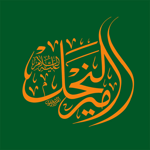 امیر النجل