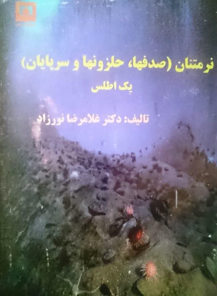 غلامرضا نورزاد غلامرضا نورزاد