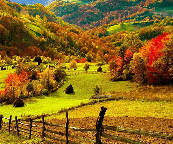 منظره زیبای پاییزی