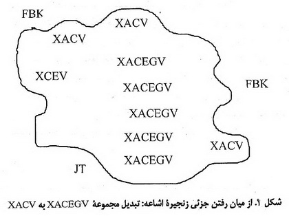  انسان شناسی و اشاعه گرایی