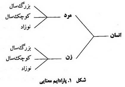 انسان شناسی و ماتریالیسم فرهنگی