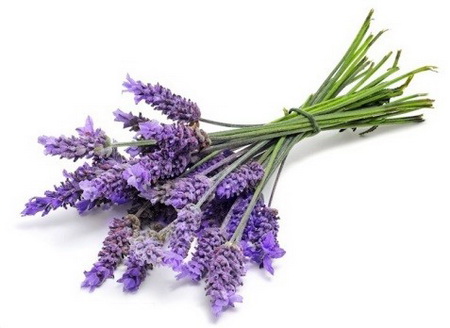 ۷ درمان طبیعی برای خلاصی از درد میگرن